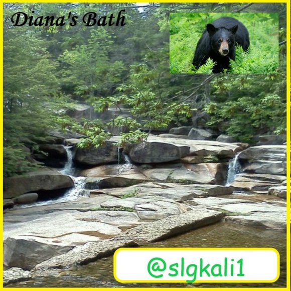 ☆ Woohoo ! Made It To 500,000 ☆ - Picture 7 of 11